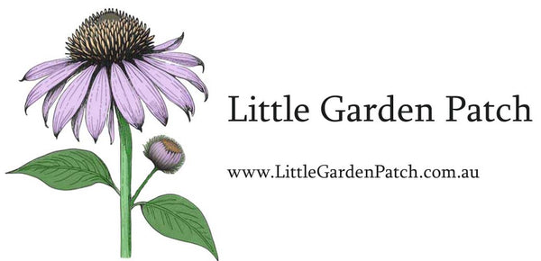 Little Garden Patch